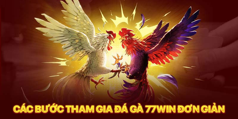 Các bước tham gia đặt cược trên Đá Gà 77win